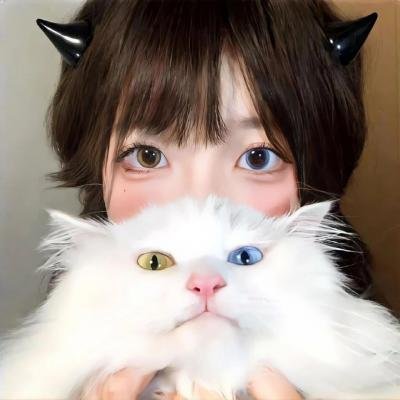侠影骑踪